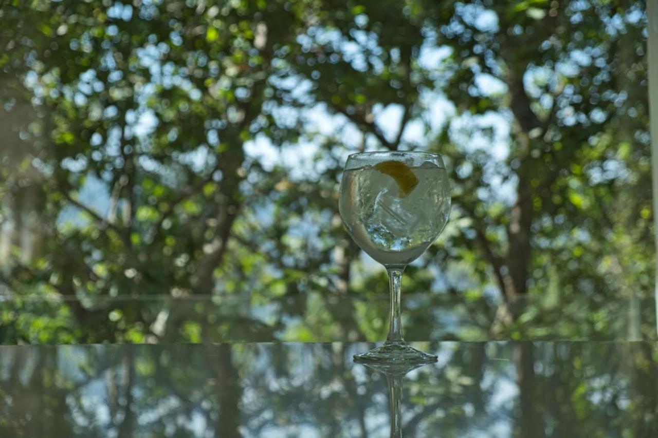 Oak Nature ヴィエイラ・ド・ミーニョ エクステリア 写真