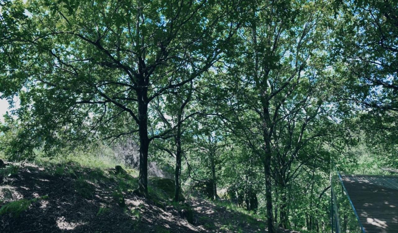 Oak Nature ヴィエイラ・ド・ミーニョ エクステリア 写真