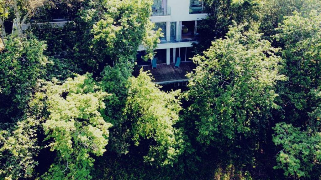 Oak Nature ヴィエイラ・ド・ミーニョ エクステリア 写真